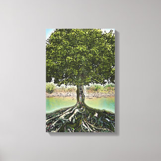 Tree with Roots by Water Canvas Print