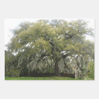 Tree wrapping paper