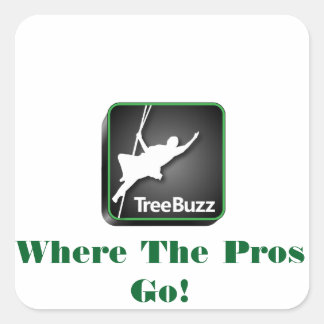 TreeBuzz square sticker