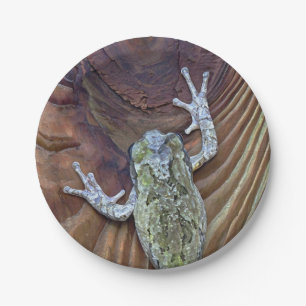 Treefrog on Cedar Fence Paper Plate