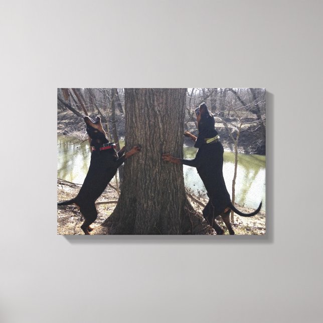 Treeing Coon Hounds Canvas (Front)