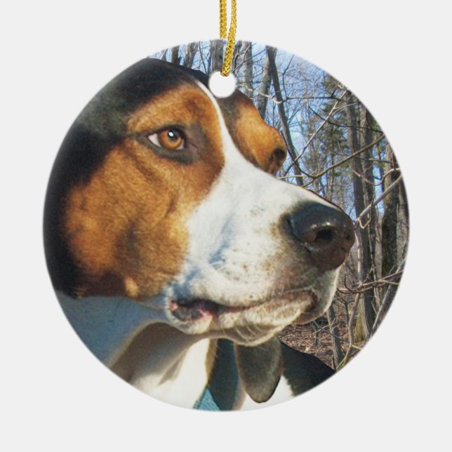 Treeing Walker Coonhound In Woods Ceramic Tree Decoration (Front)