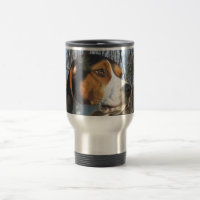 Treeing Walker Coonhound In Woods
