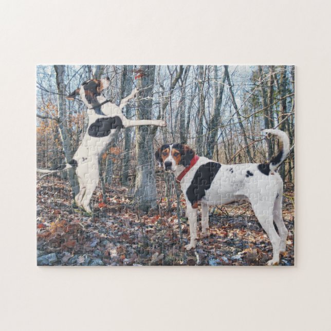 Treeing Walker Coonhounds Hunting Jigsaw Puzzle (Horizontal)