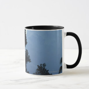 Trees and clouds mug