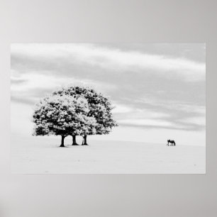trees and horse poster
