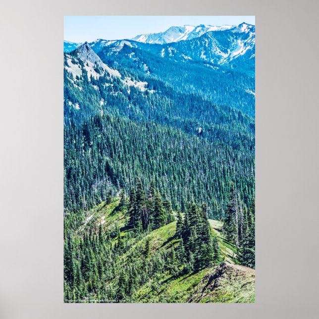 Trees and  Ridges Poster (Front)