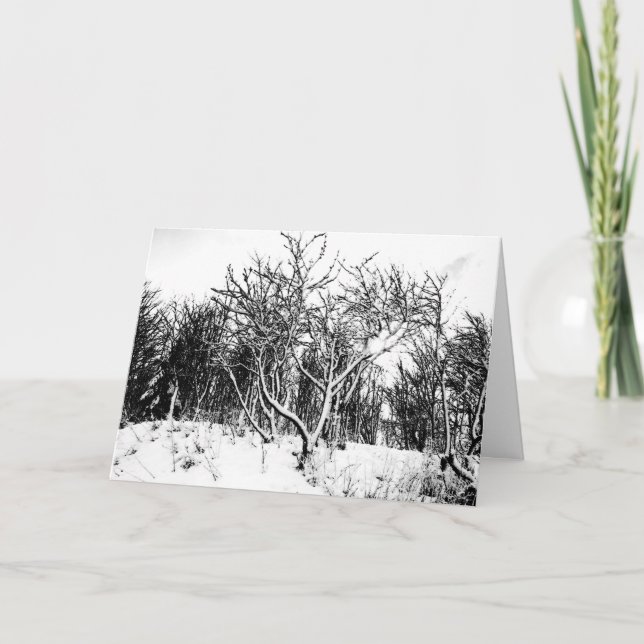 Trees and Snow Scene, Black and White Holiday Card (Front)
