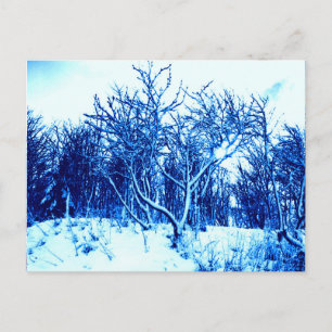 Trees and Snow Scene, Cobalt Blue Postcard