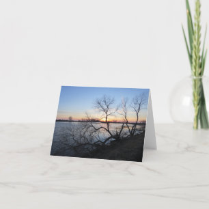 Trees and Sunset - Blank Greeting Card