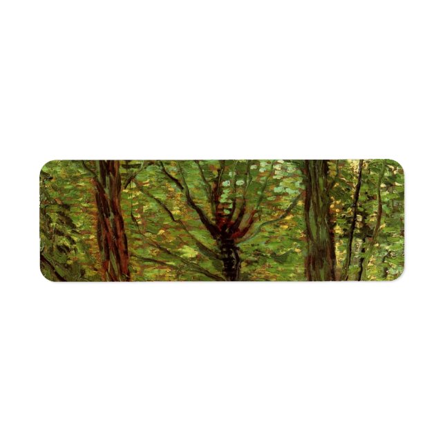 Trees and Undergrowth by Vincent van Gogh (Front)