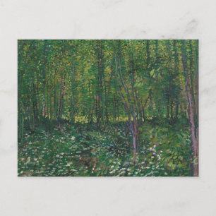 Trees and Undergrowth by Vincent Van Gogh Postcard