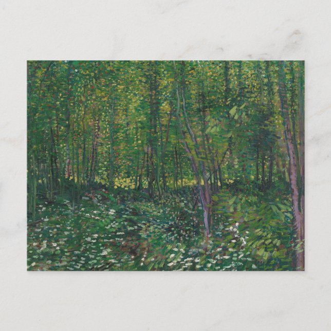 Trees and Undergrowth by Vincent Van Gogh Postcard (Front)