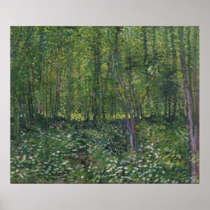 Trees and Undergrowth by Vincent Van Gogh Poster