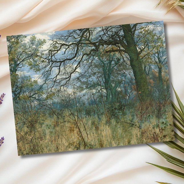 Trees and Undergrowth – William Fraser Garden Postcard (Creator Uploaded)