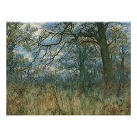 Trees and Undergrowth – William Fraser Garden