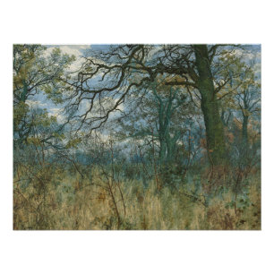 Trees and Undergrowth – William Fraser Garden Poster