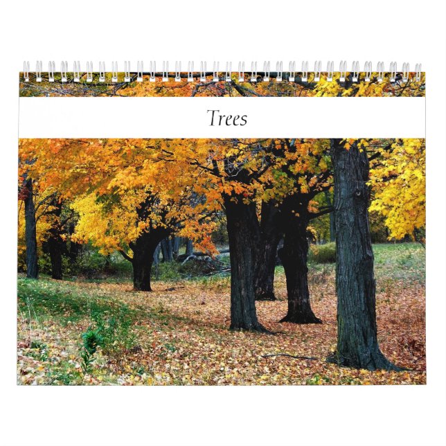 Trees Any Year Calendar (Cover)