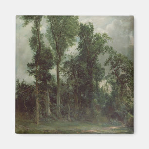 Trees at Hampstead Magnet