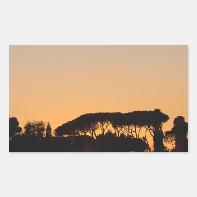 Trees at sunset in backlight in Rome Rectangular Sticker (Front)