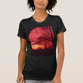 Trees at Sunset Shirt
