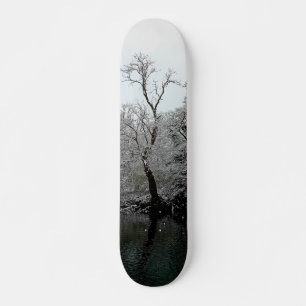 Trees, at the water skateboard