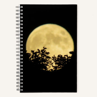 Trees backlit by the full moon notebook