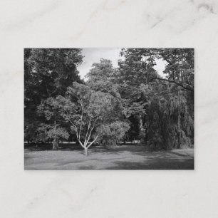 Trees, Bute Park, Cardiff BW Business Card