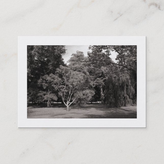 Trees, Bute Park, Cardiff - Warm BW (Bordered) Business Card (Front)