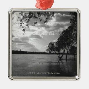 Trees by lake B&W Metal Tree Decoration