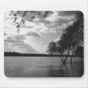 Trees by lake B&W Mouse Pad