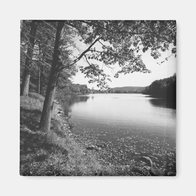 Trees by river B&W Magnet (Front)