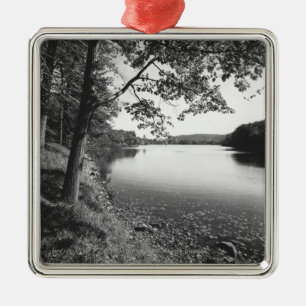Trees by river B&W Metal Tree Decoration