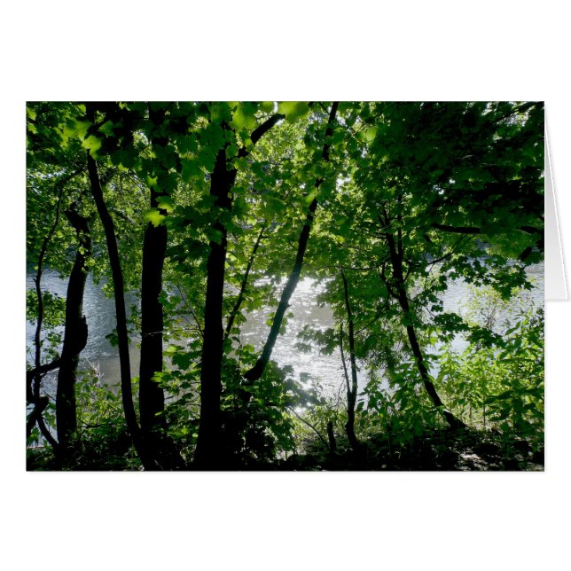 Trees by the River (Front Horizontal)