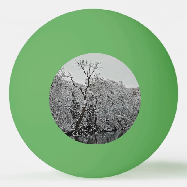 Trees, by the water ping pong ball (Front)