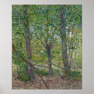 Trees by Vincent Van Gogh Poster