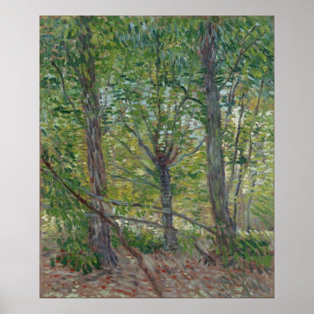 Trees by Vincent Van Gogh Poster (Front)