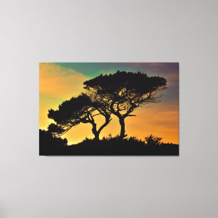 Trees Canvas Print