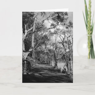 TREES CARD