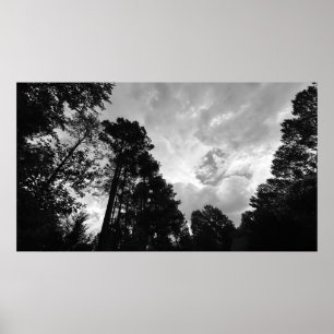 Trees & Clouds, Poster