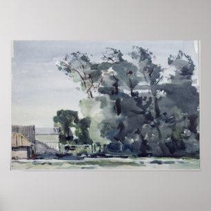 Trees - Dawn Poster
