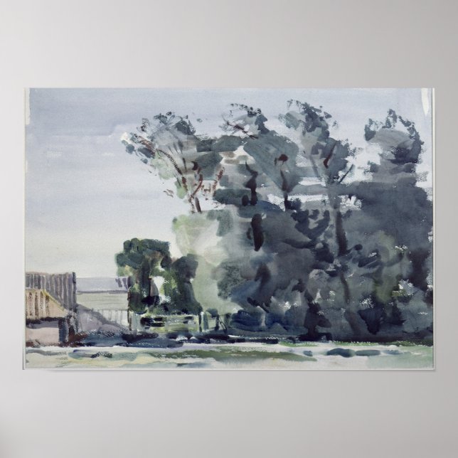 Trees - Dawn Poster (Front)