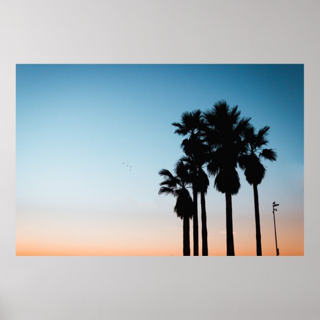 Trees during golden hour poster (Front)