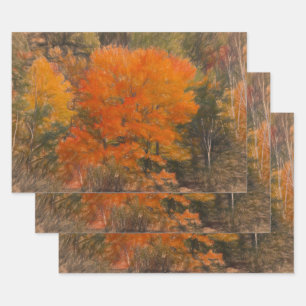 Trees Fall Woodland Forest Orange Sketch Art Wrapping Paper Sheet