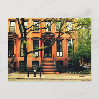 Trees Grow in Brooklyn Postcard