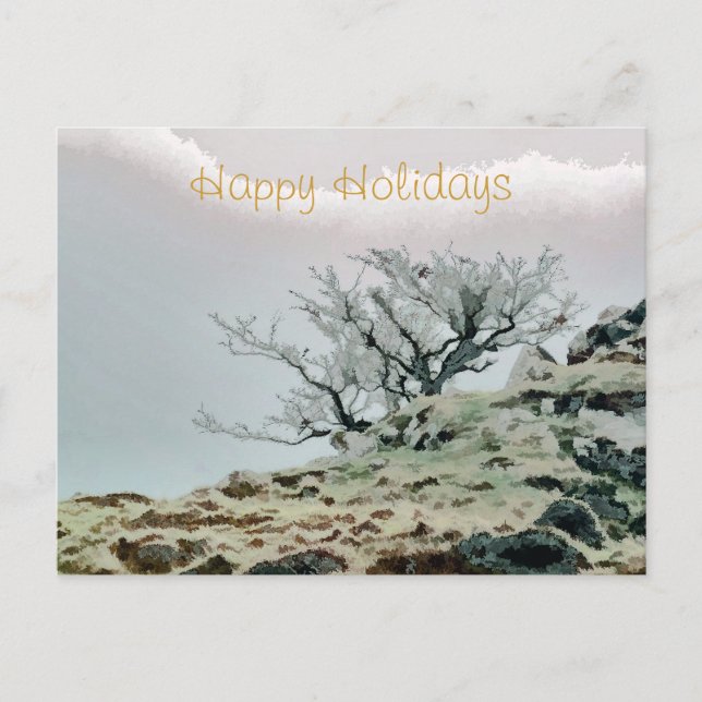 TREES HOLIDAY POSTCARD (Front)