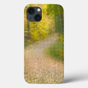 Trees in Autumn Colours and Leaf-Covered Pathway iPhone 13 Case