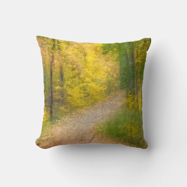 Trees in Autumn Colours and Leaf-Covered Pathway Cushion (Front)