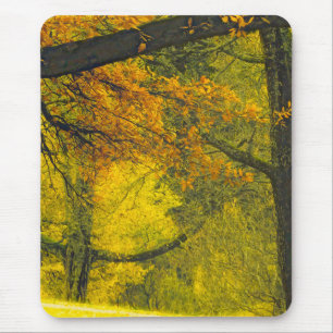 Trees in autumn colours mouse pad