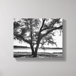 Trees in black and white Stretched Canvas Print